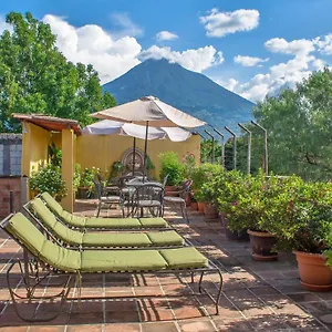 Hotel Camelias By Ahs